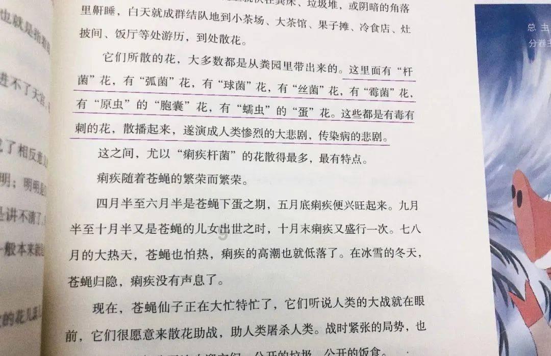 漳墩镇：遵守交通法规 安全文明出行